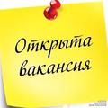 Продавец-консультант