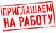 Курьер регистратор ( Номинальный директор)
