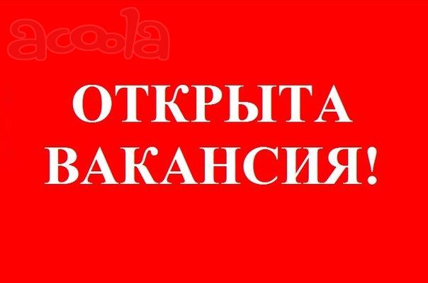 Номинальный директор, достойная оплата, без опыта
