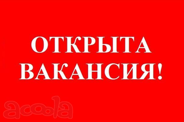 Временный директор на регистрацию компаний