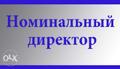 Номинальный директор