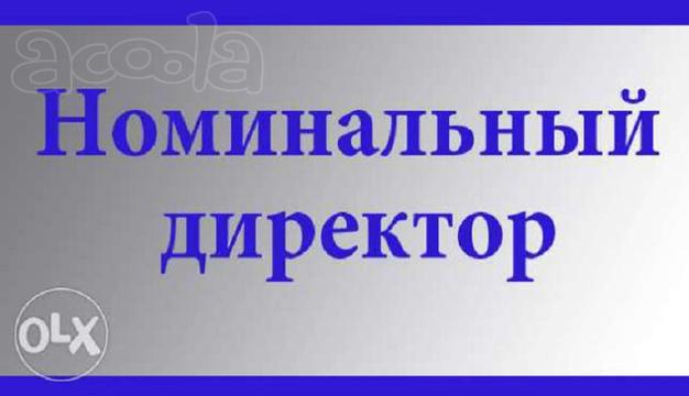 Номинальный директор