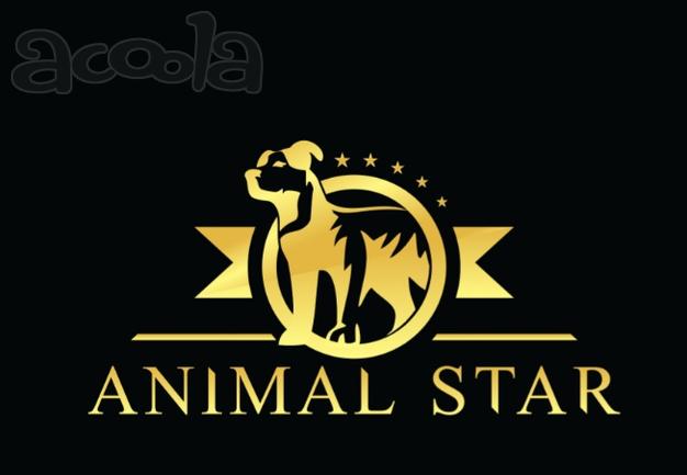 Школа груминга AnimalStar Санкт-Петербург