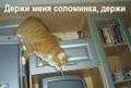 Интернет-консультант (совмещение, подработка, гибкий график)