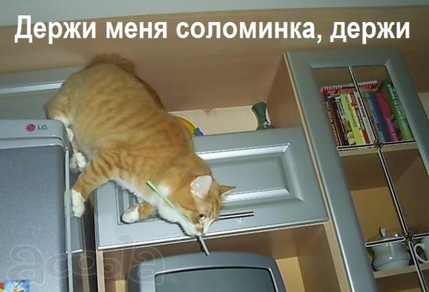 Интернет-консультант (совмещение, подработка, гибкий график)