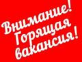 Работа удаленно менеджером интернет - магазина.