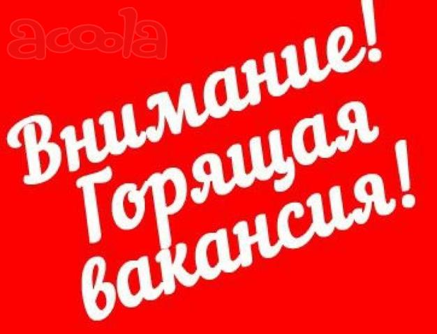 Работа удаленно менеджером интернет - магазина.
